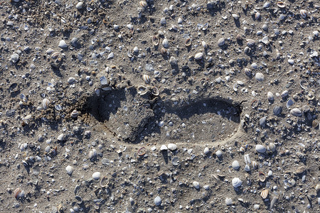 印在沙子里的单靴脚印