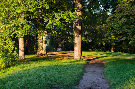 公园路径树早晨太阳老异教石坛