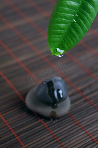 水疗spa摄影照片_带水滴的SPA石和绿叶