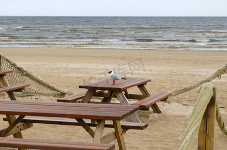 木桌长椅海海洋海滩海鸥海鸥