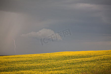 下雨农村风景摄影照片_在风景秀丽的萨斯喀彻温省，闪电即将下雨