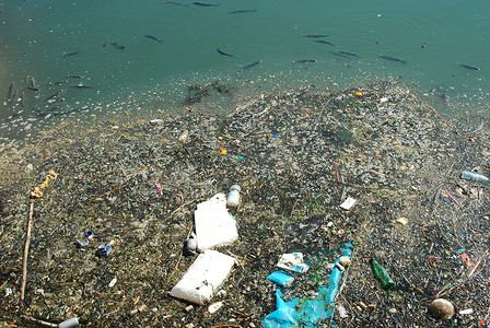 满是垃圾和鱼的受污染河流