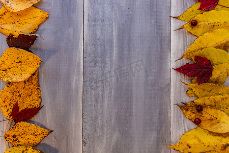 秋天木板背景摄影照片_木板上有彩色叶子的秋天背景