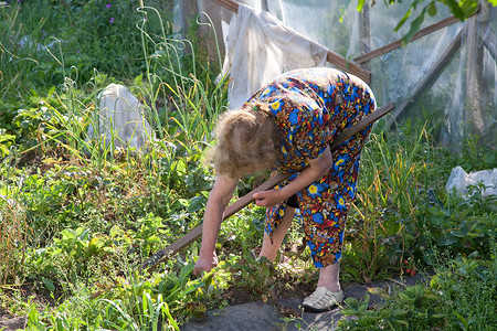 老妇人在花园里工作
