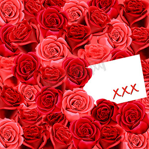 roses摄影照片_xxx on a card on a wallpaper of red roses 红玫瑰壁纸