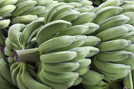 茎上的一串串绿色香蕉