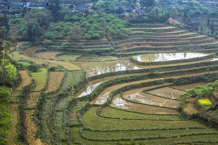 越南 Ban Pho - 2012 年 3 月：干湿梯田