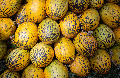 melon摄影照片_农贸市场上的许多瓜