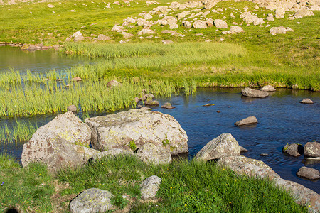 池塘边摄影照片_阿尔特温高地池塘边的野草