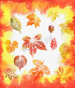 水彩红色叶子摄影照片_“抽象背景，水彩：叶子”