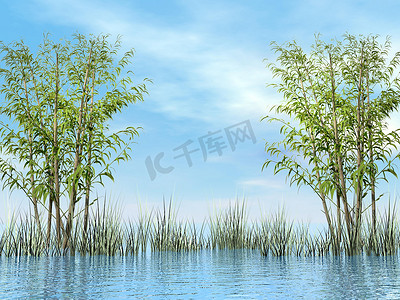 竹子和草 - 3D 渲染