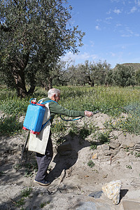 农药喷洒杂草摄影照片_喷洒杂草杀虫剂的年长农夫