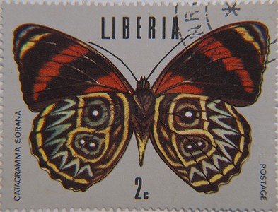 来自利比里亚的蝴蝶邮票