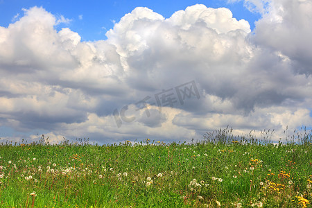 口水球摄影照片_“春天的草地。诺韦洛，意大利北部。”