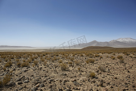 Farallon de Tara，俯瞰盐湖的高原，Salar d