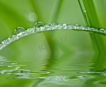 雨后的草地