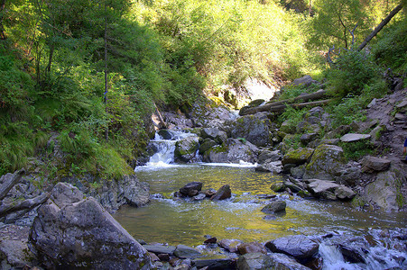 背景叠层摄影照片_蜡笔是一条山间河流，层叠瀑布流过晨间林间。