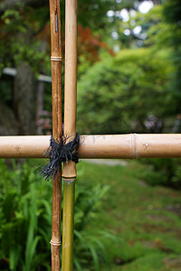 竹栅栏细节