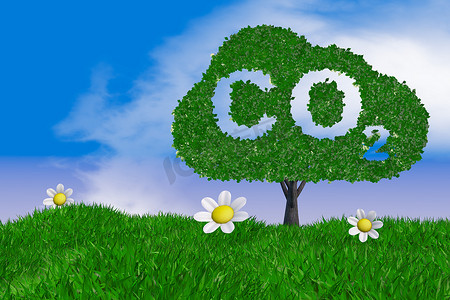 气候变暖摄影照片_刻有二氧化碳的树