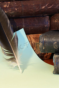 书和羽毛
