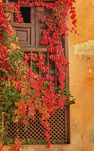 安达卢西亚摄影照片_西班牙安达卢西亚格拉纳达花园的阿尔罕布拉宫墙窗落叶