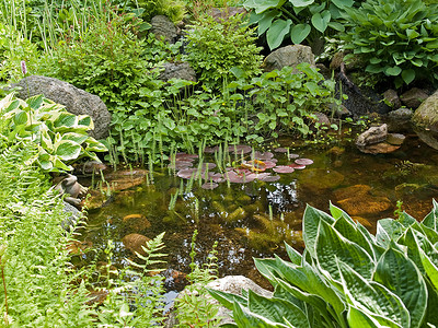 池塘瀑布摄影照片_美丽的古典园林鱼湖池塘