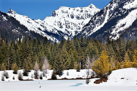 Gold Lake Spring Snow Snoqualme Pass 华盛顿