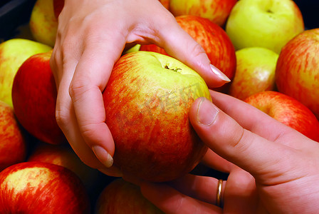 苹果从手到手