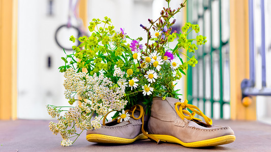男鞋或女鞋中以洋甘菊为主的野花花束