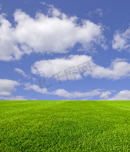 背景绿色草地摄影照片_天空和草地
