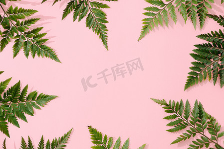 极简主义背景摄影照片_手工制作的极简主义植物室内装饰，粉色背景上悬挂的木制框架中的绿色热带叶子