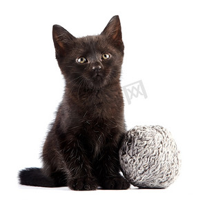 小动物黑猫摄影照片_带羊毛球的黑猫