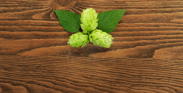在一张木桌上的啤酒花植物