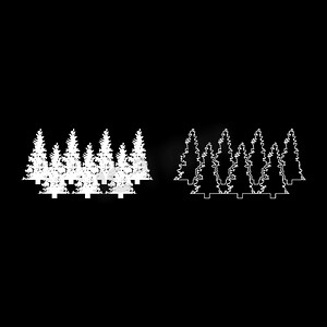 枞树圣诞针叶树云杉松林常绿树林针叶树剪影白色矢量插图固体轮廓样式图像