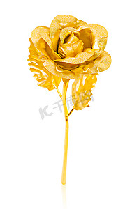 玫瑰金背景摄影照片_白色背景上孤立的金玫瑰。