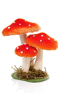 装饰蘑菇