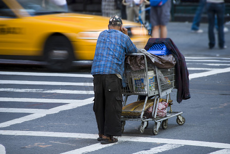 “纽约市的无家可归者，2008 年”