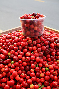 水果交易摄影照片_西印度樱桃水果在公开市场上
