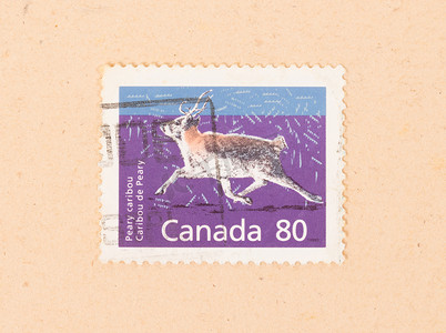 加拿大 — 大约 1970 年：在加拿大打印的邮票显示驯鹿，