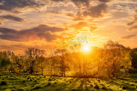 春天田野阳光摄影照片_绿草、柳树和多云天空的春天田野中的日落或日出。