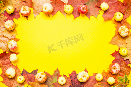 框架由红色和橙色的秋天枫叶和明亮的黄色背景上的花园苹果制成。