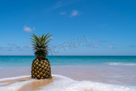 在沙子的菠萝与在蓝天夏天概念。