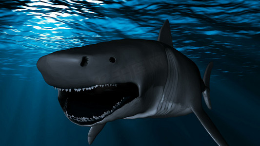 3d高清摄影照片_鲸鲨关闭 3D 渲染
