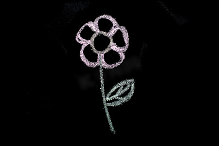 黑板上用白色粉笔手绘的花