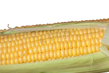 白色背景中孤立的新鲜玉米