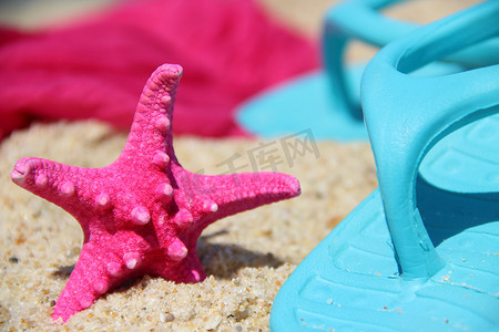 海边泡沫摄影照片_海边有趣的粉色海星