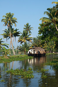 “印度喀拉拉邦回水区的船屋”