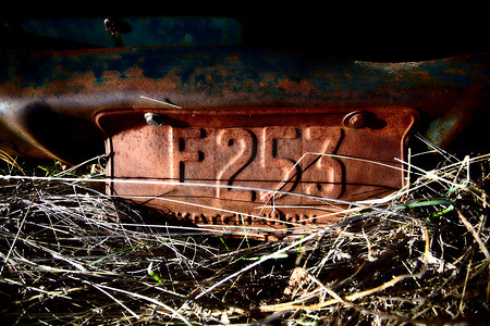 在雷德林萨斯喀彻温省留下生锈的老式车牌