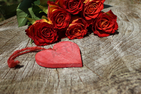 爱心贺卡摄影照片_红玫瑰和一颗心