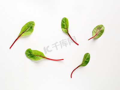 绿色菜叶摄影照片_一组绿色甜菜叶或孤立的甜菜叶